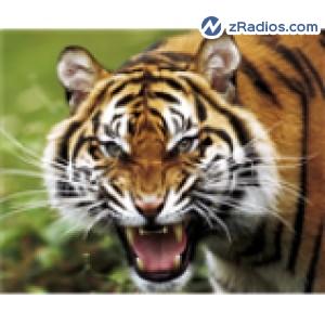 Radio: Balam Estereo 98.1