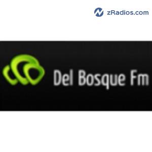 Radio: Del Bosque  FM 100.5