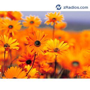 Radio: FM RADIO BOSS