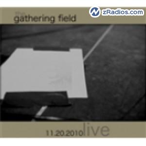Radio: Gathering Field