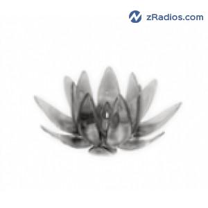 Radio: Mr Club Music