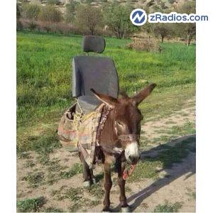 Radio: Onda vasca irratia