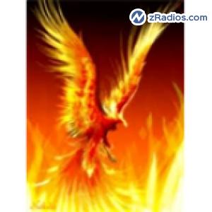 Radio: Radio Fenix 105.9