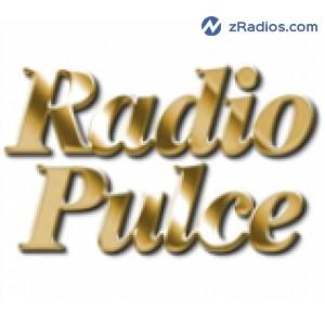 Radio: Radio Pulce 99.1